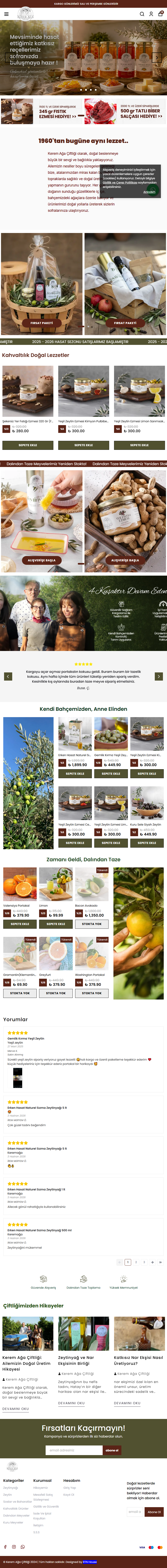 Fatih Web Tasarım Proje Detayı Tablet Görünüm
